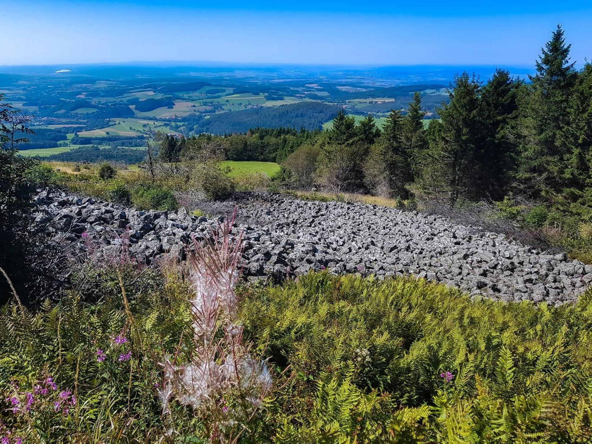 Feriendorf Wasserkuppe Abtsroda Dış mekan fotoğraf